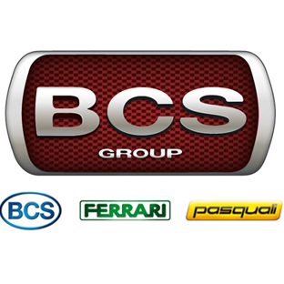 BCS Group